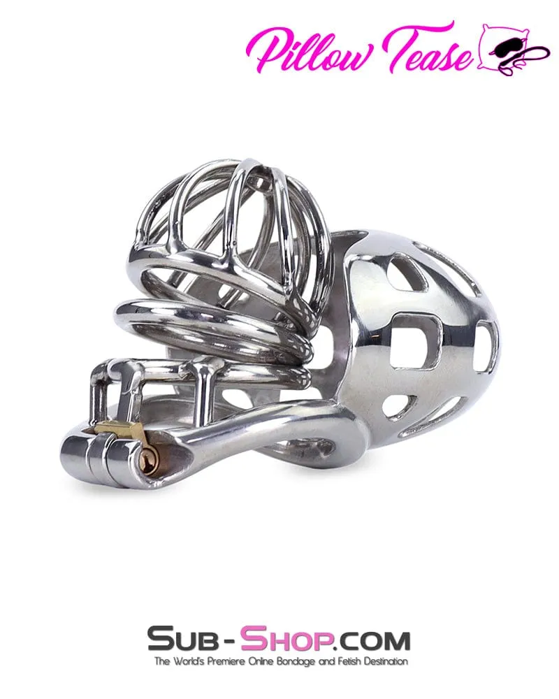 0974AR-SIS      Steel Ball Trap Wire Mesh Teasing Sissy Cock Cage Chastity