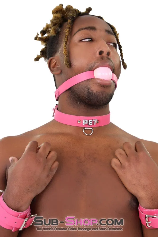 2541A-SIS      Sissy Boi Bitch Hot Pink Classic Leather Ball Gag Dominant Woman Strap. Candy Pop Pink Ball