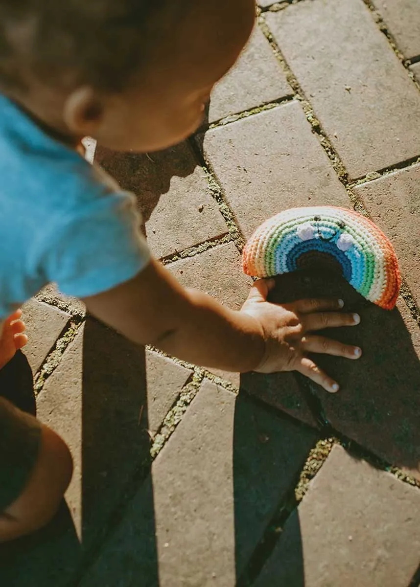 Friendly Rainbow Rattle