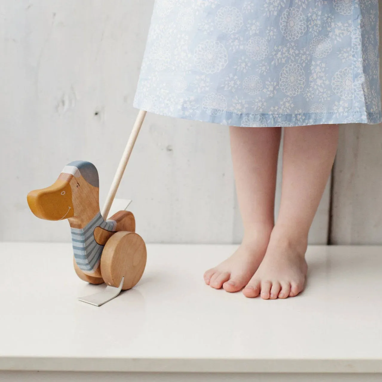 Wooden Push Toy Duck Blue